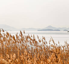 여수 문수동 일억조횟집