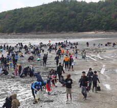 2022년 여수여자만갯벌노을체험행사