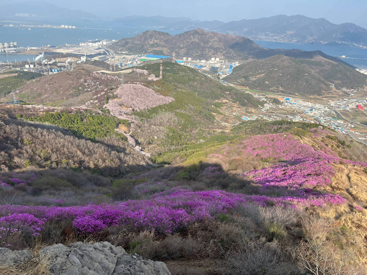 영취산