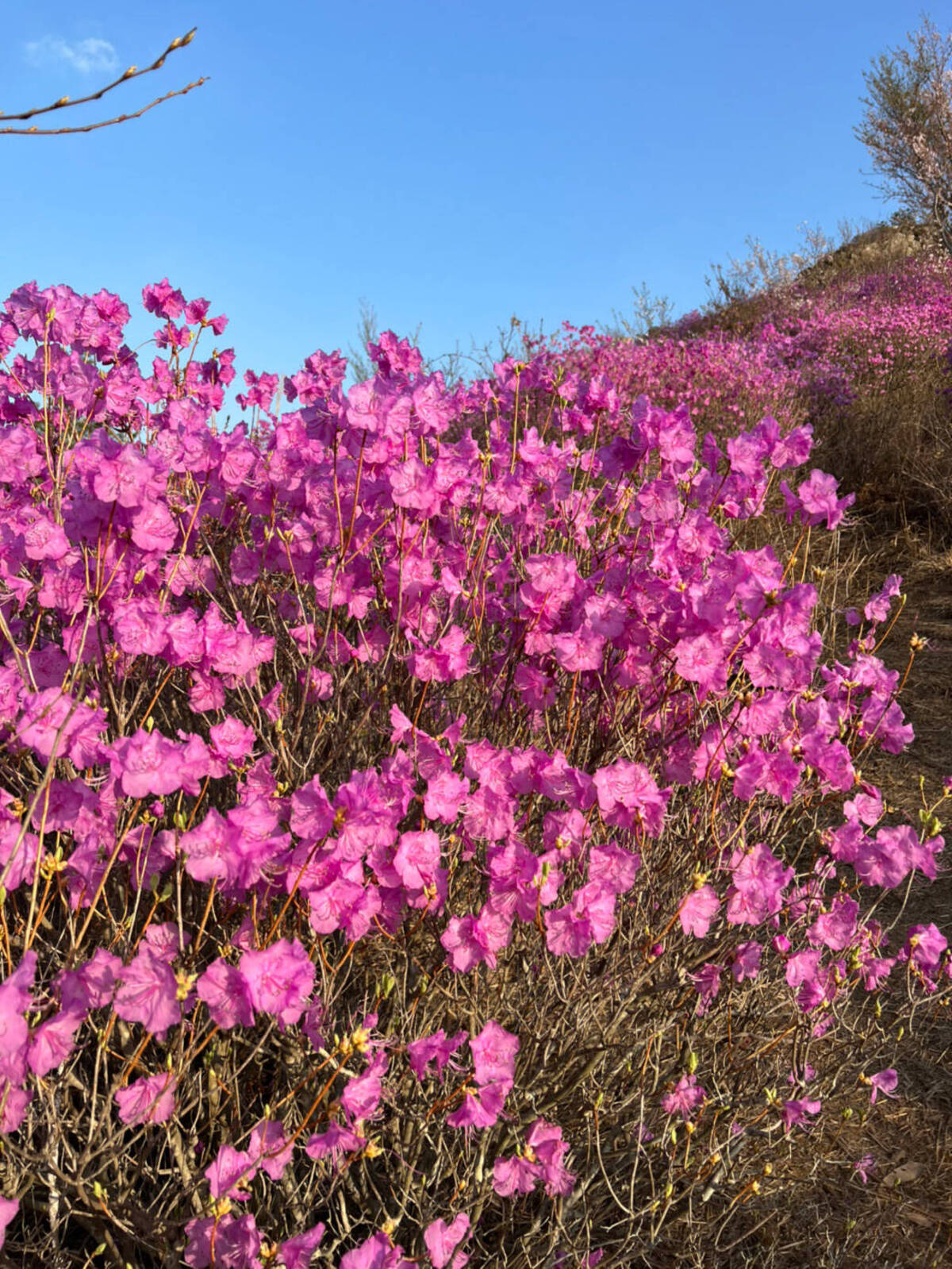 영취산