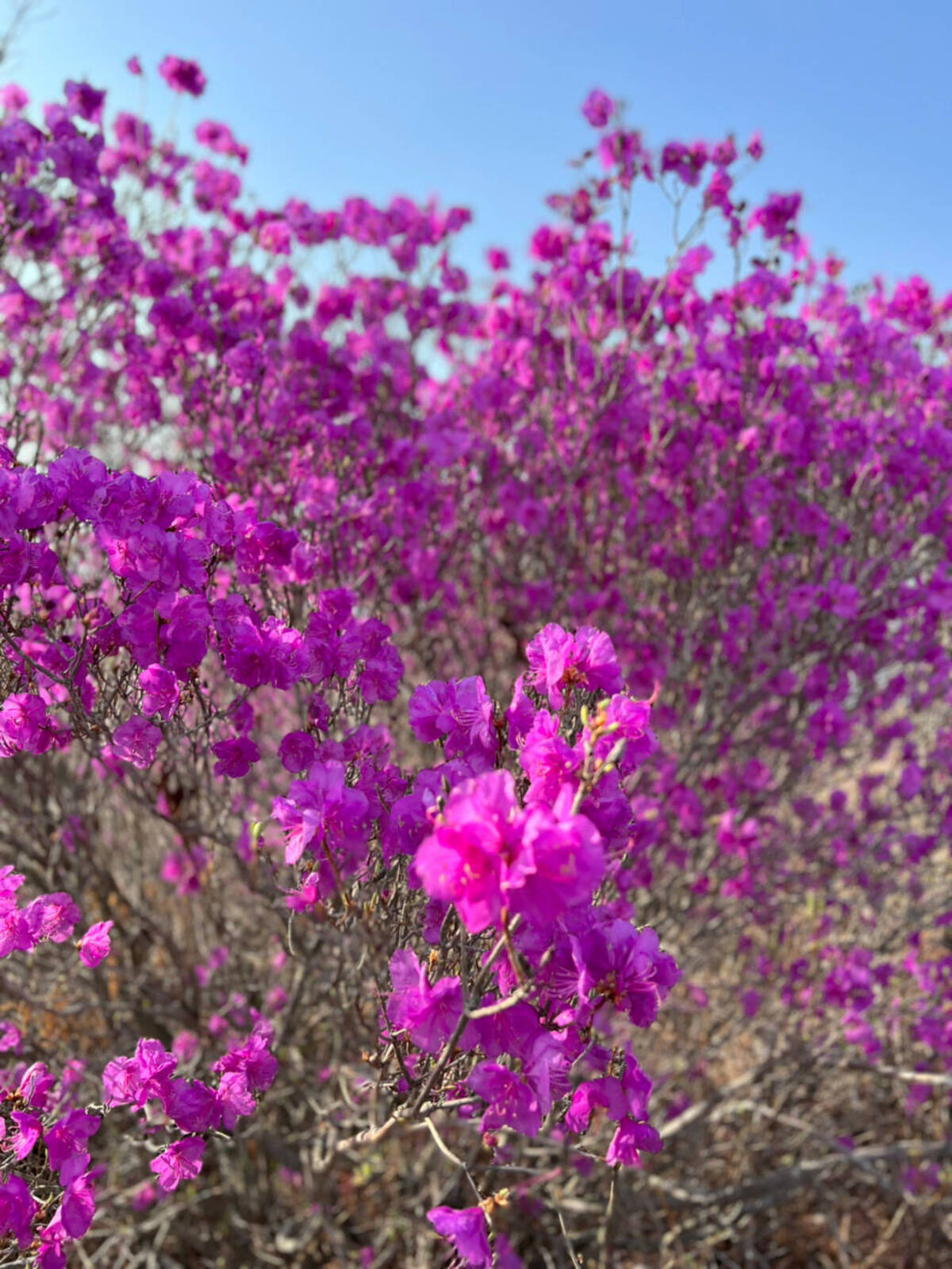 영취산