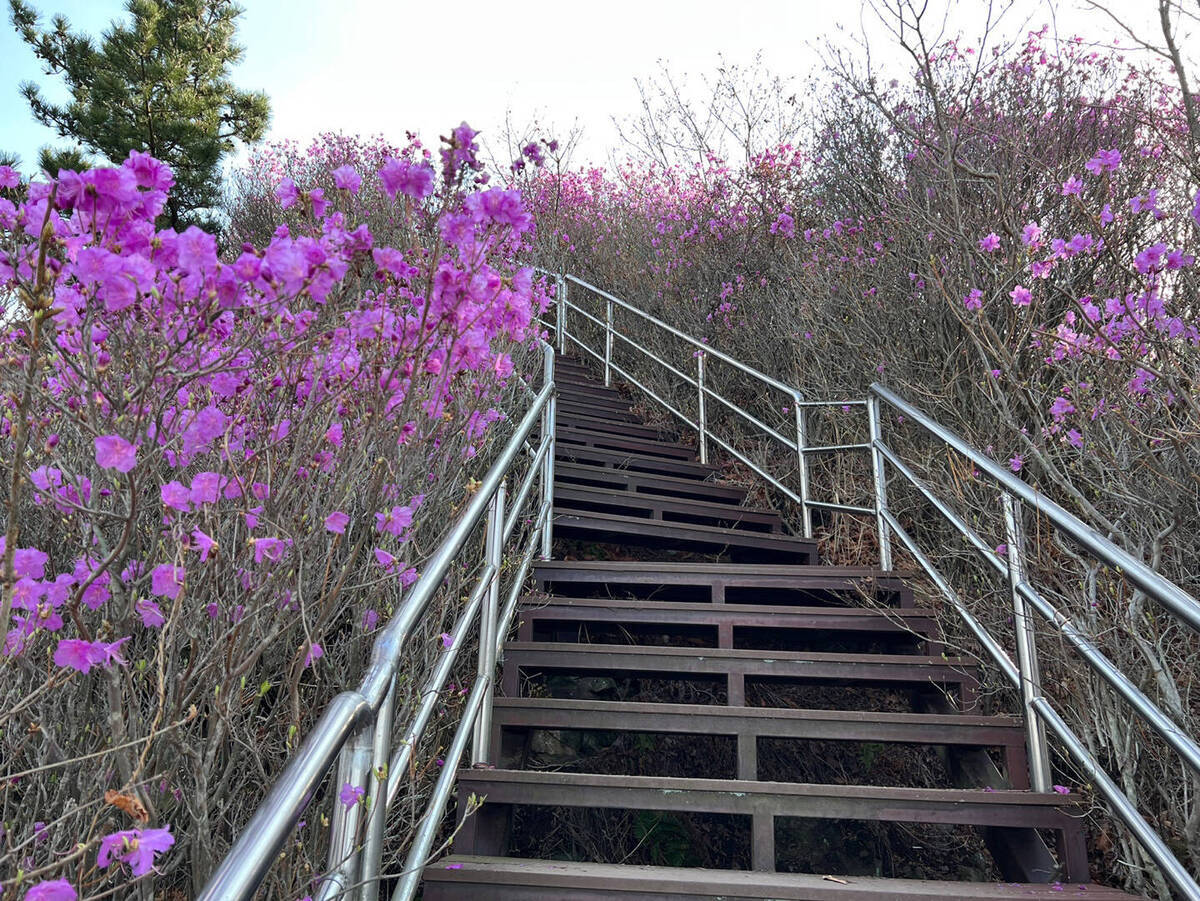 영취산