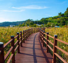 가사리 생태공원