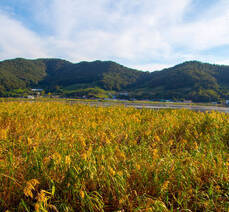 가사리 생태공원