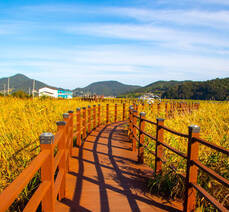 가사리 생태공원