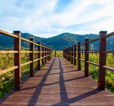 가사리 생태공원