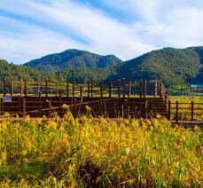 가사리 생태공원