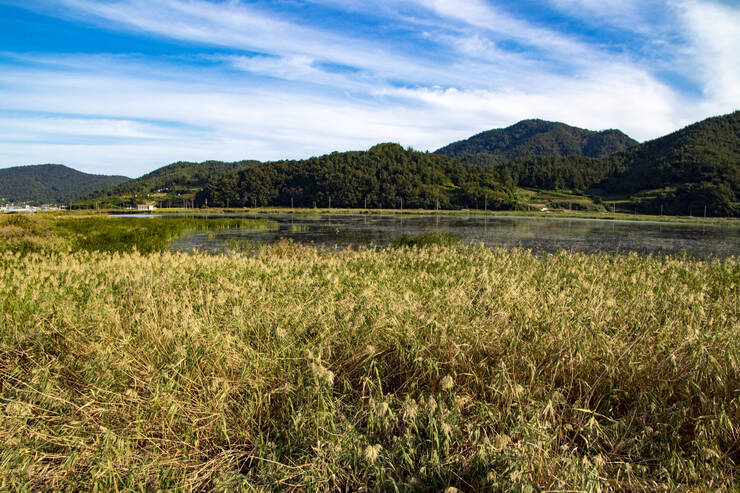 가사리생태공원