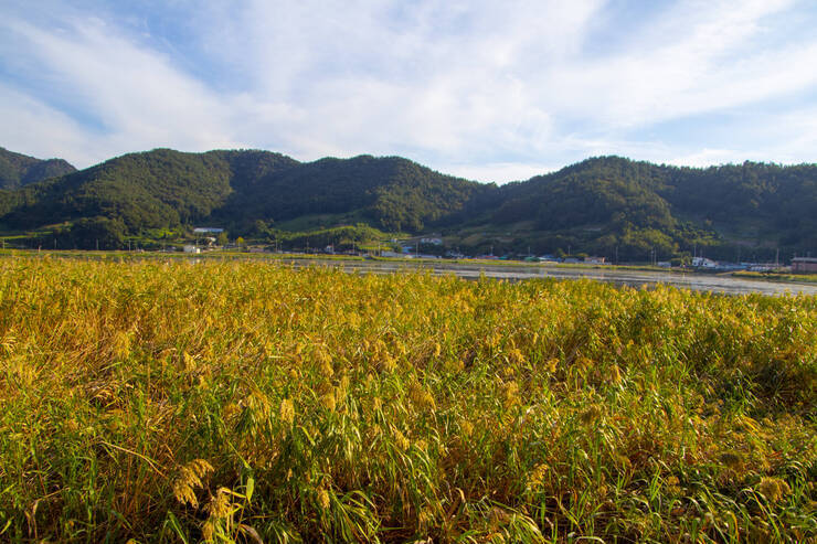 가사리생태공원