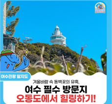 [겨울 동백꽃 명소] 겨울바람 속 동백꽃의 유혹, 오동도에서 힐링하기!