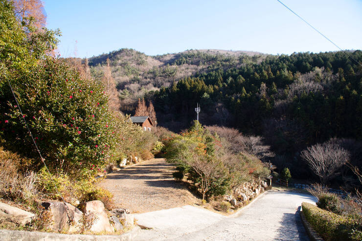 DSD_5063 복사.jpg