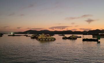 웅천에서 본 여수 밤바다