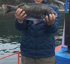 계동에서 보낸 가족 바다 나들이