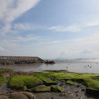 여자만갯벌의 7번째 이미지