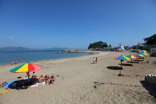 모사금피서지의 1번째 이미지