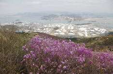 영취산의 1번째 이미지