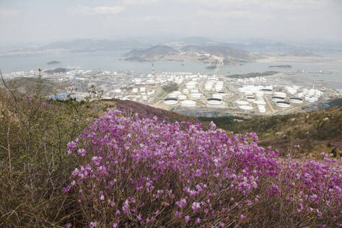 영취산의 1번째 이미지