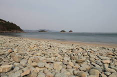 무술목전적지의 1번째 이미지