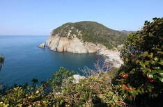 거문도의 3번째 이미지