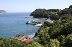 금오도의 7번째 이미지