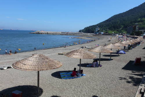 만성리 검은모래 해변의 1번째 이미지