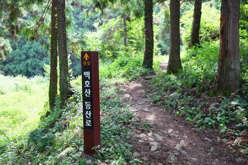 백호산 등산로의 3번째 이미지