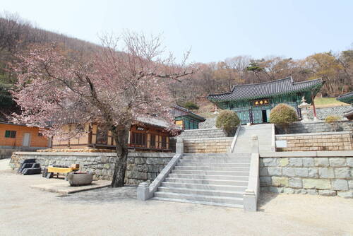 한산사의 4번째 이미지