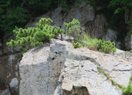 해녀굴(오동도)