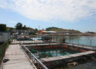 외동어촌체험마을