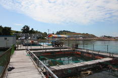 외동어촌체험마을의 1번째 이미지