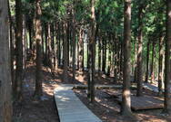 태교여행-힐링코스 첫째날