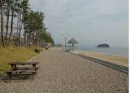 웅천친수공원텐트촌