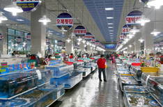 여수수산물특화시장의 1번째 이미지