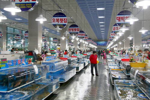 여수수산물특화시장의 1번째 이미지