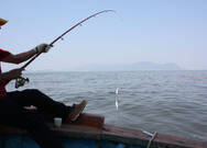 안도어촌체험마을