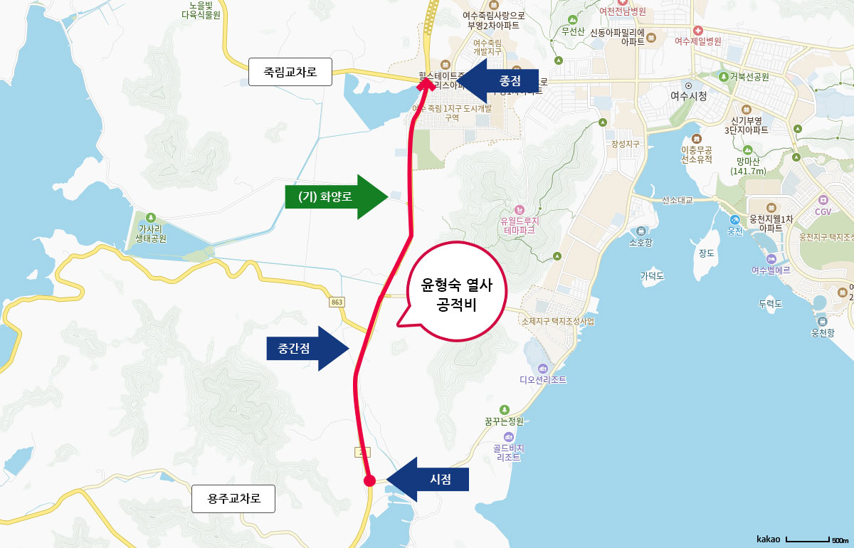 카카오지도