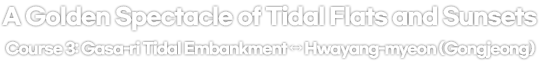 A Golden Spectacle of Tidal Flats and Sunsets 
Course 3: Gasa-ri Tidal Embankment ↔ Hwayang-myeon (Gongjeong)