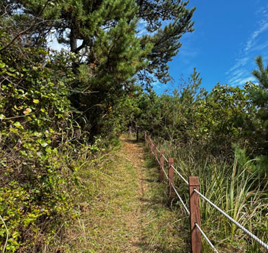 팔각정 오르는 길