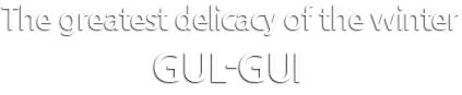 The greatest delicacy of the winter, gul-gui