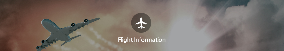 Flight Information