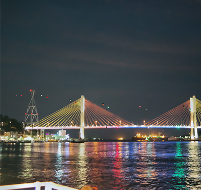 Dolsan Park에서 내려다보는 밤의 돌산대교