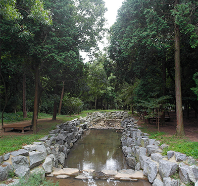 봉화산 산림욕장