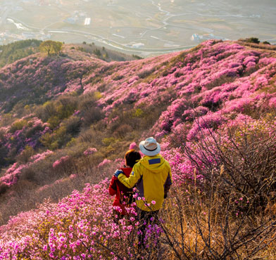 진달래와 사진 찍는 모습