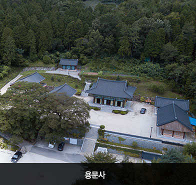 용문사 항공사진
