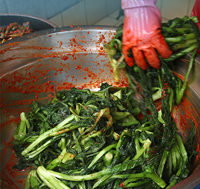 돌산갓김치를 양념에 버무리는 모습