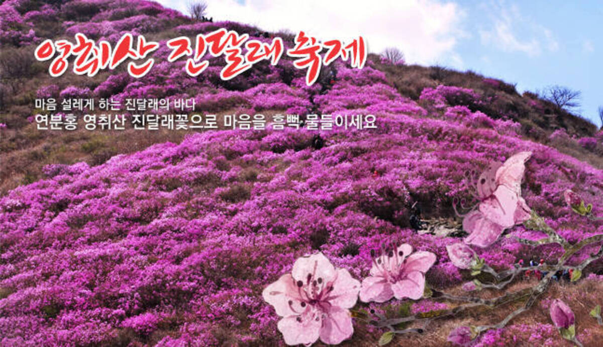 제20회 여수영취산진달래축제 안내의 1번째 이미지