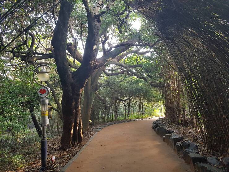 오동도 겨울 숲길