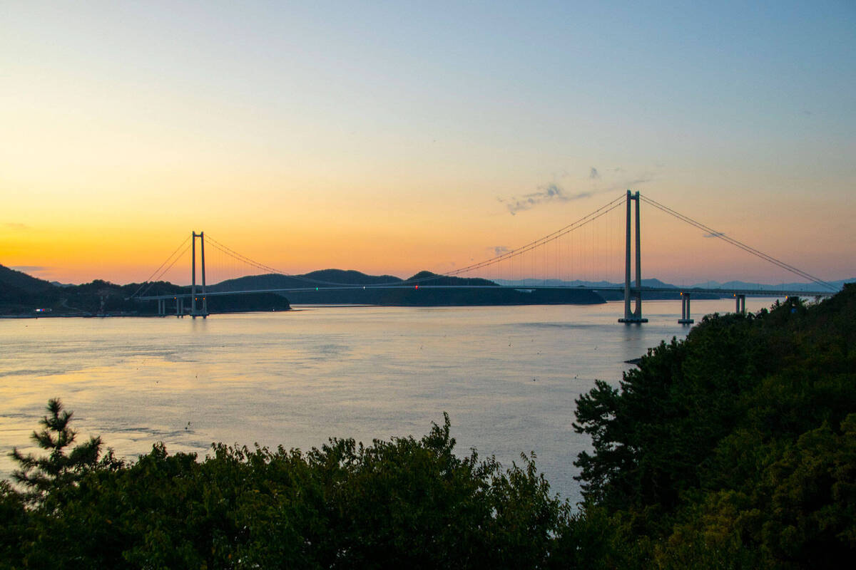 전망대에서 바라본 여수 대교 전경