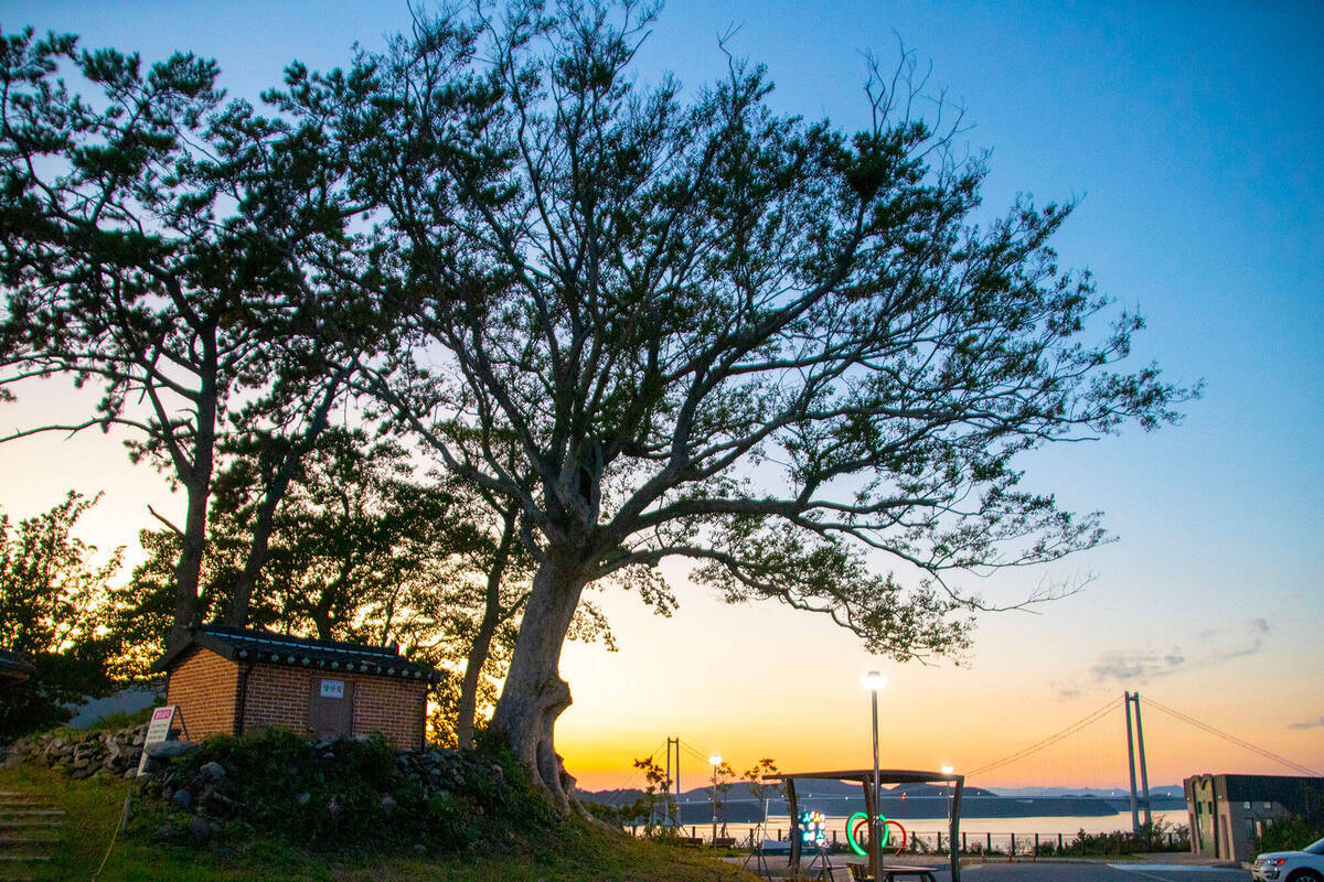 커다란 나무 옆으로 노을 지는 바다가 보인다