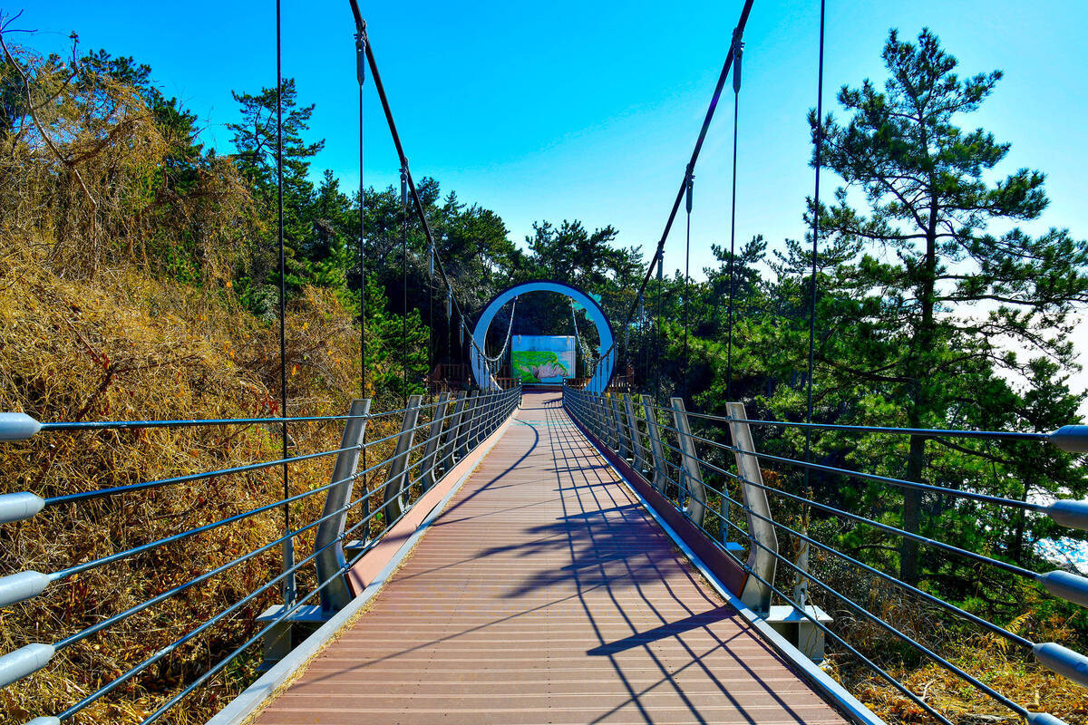 금오도 출렁 다리 